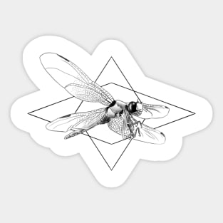 Geometric Dragonfly Sticker